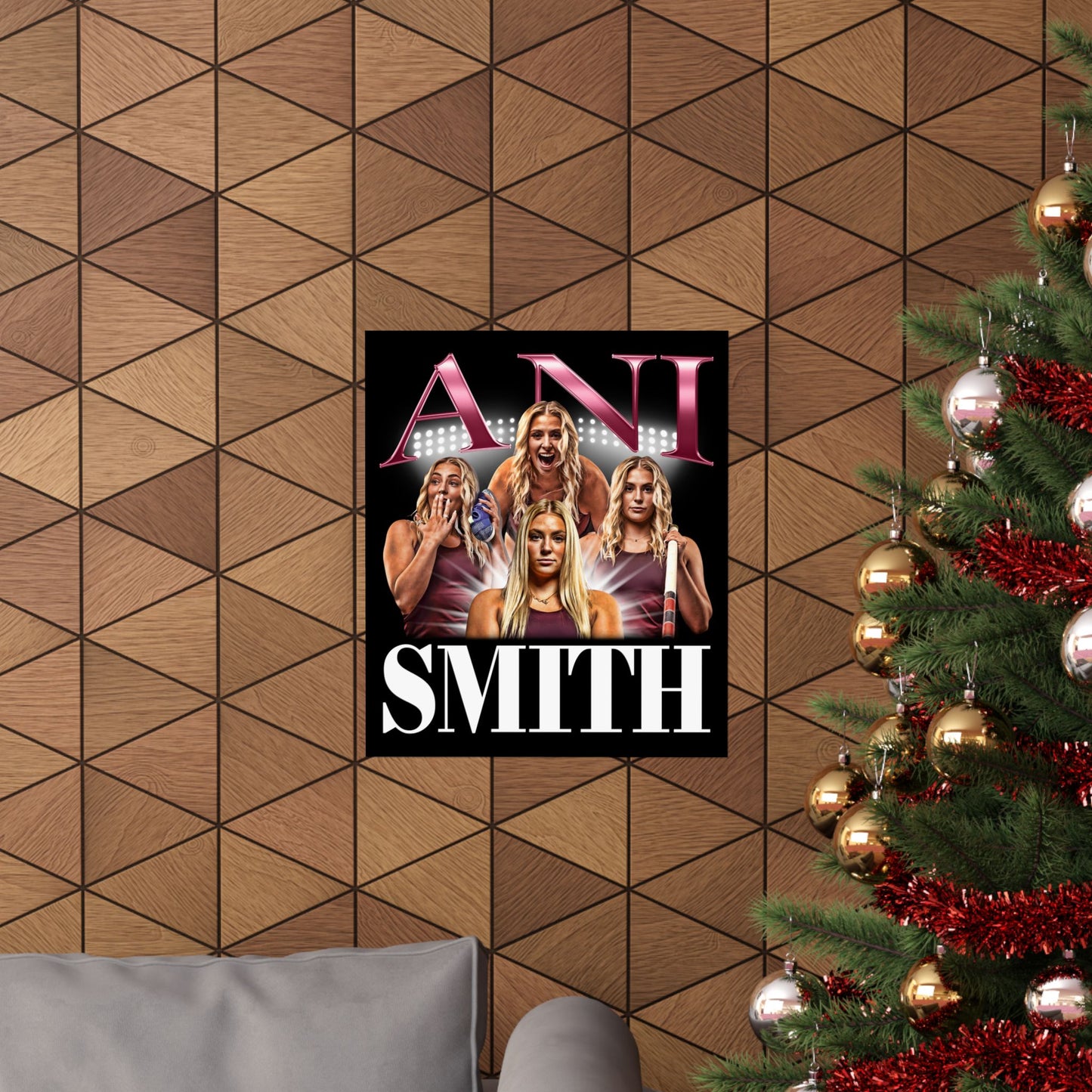 Ani Smith Poster