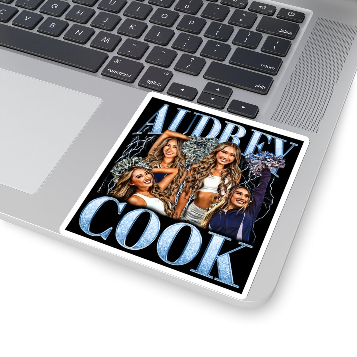 Audrey Cook Sticker