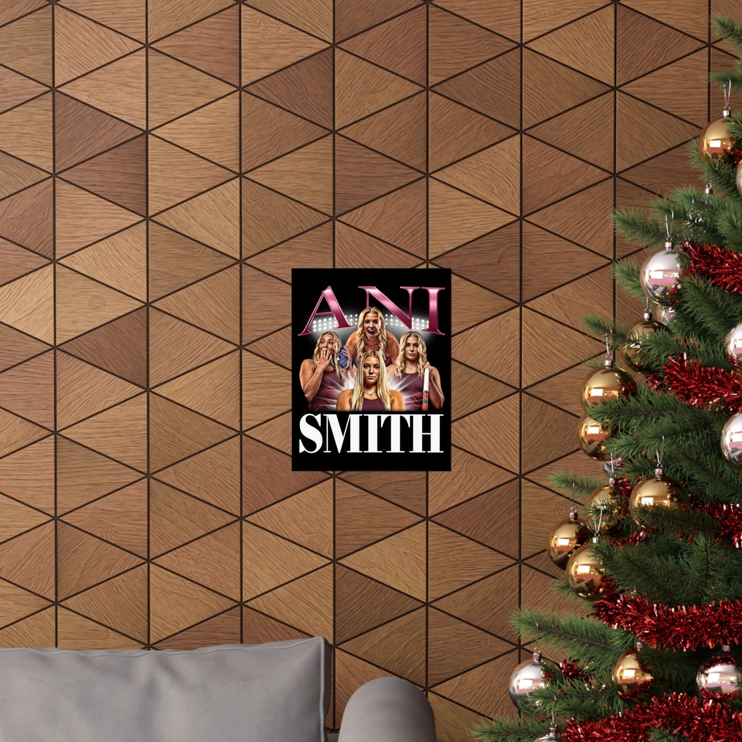 Ani Smith Poster