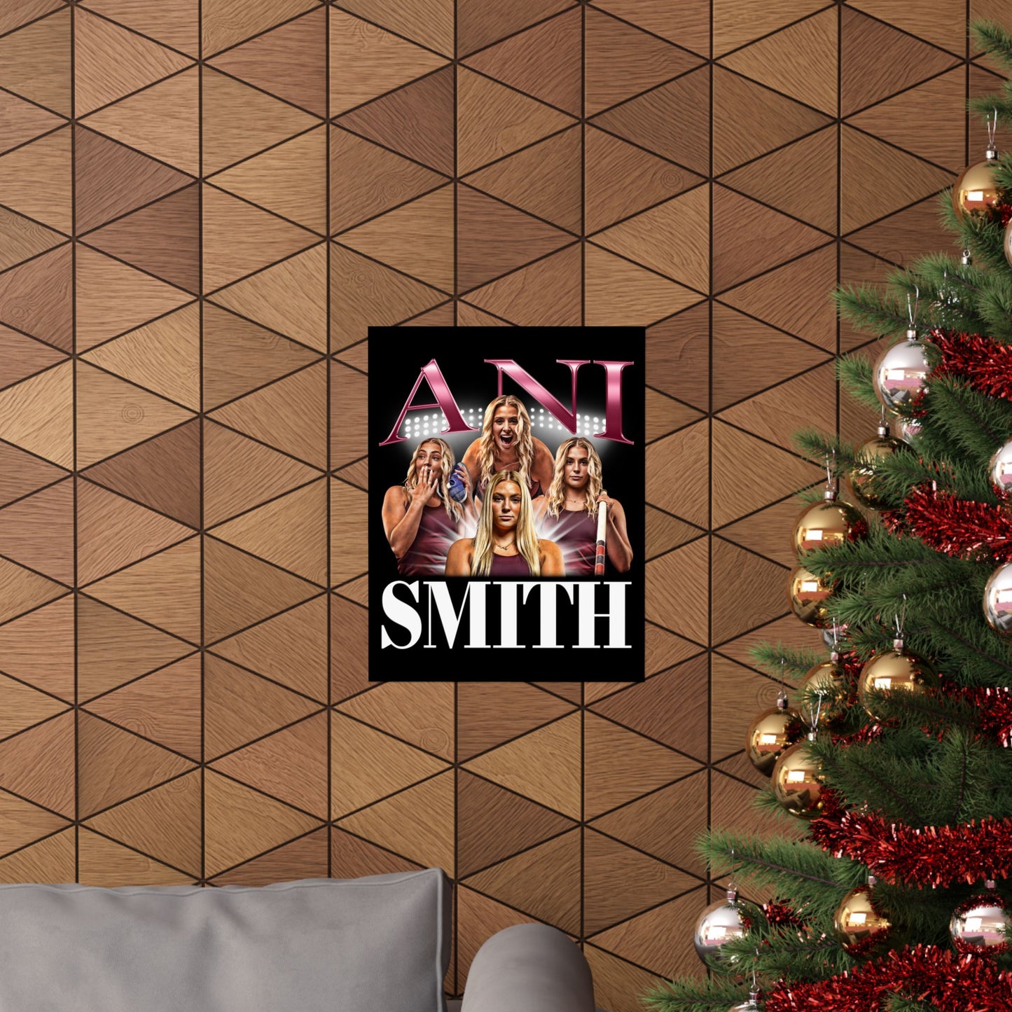 Ani Smith Poster