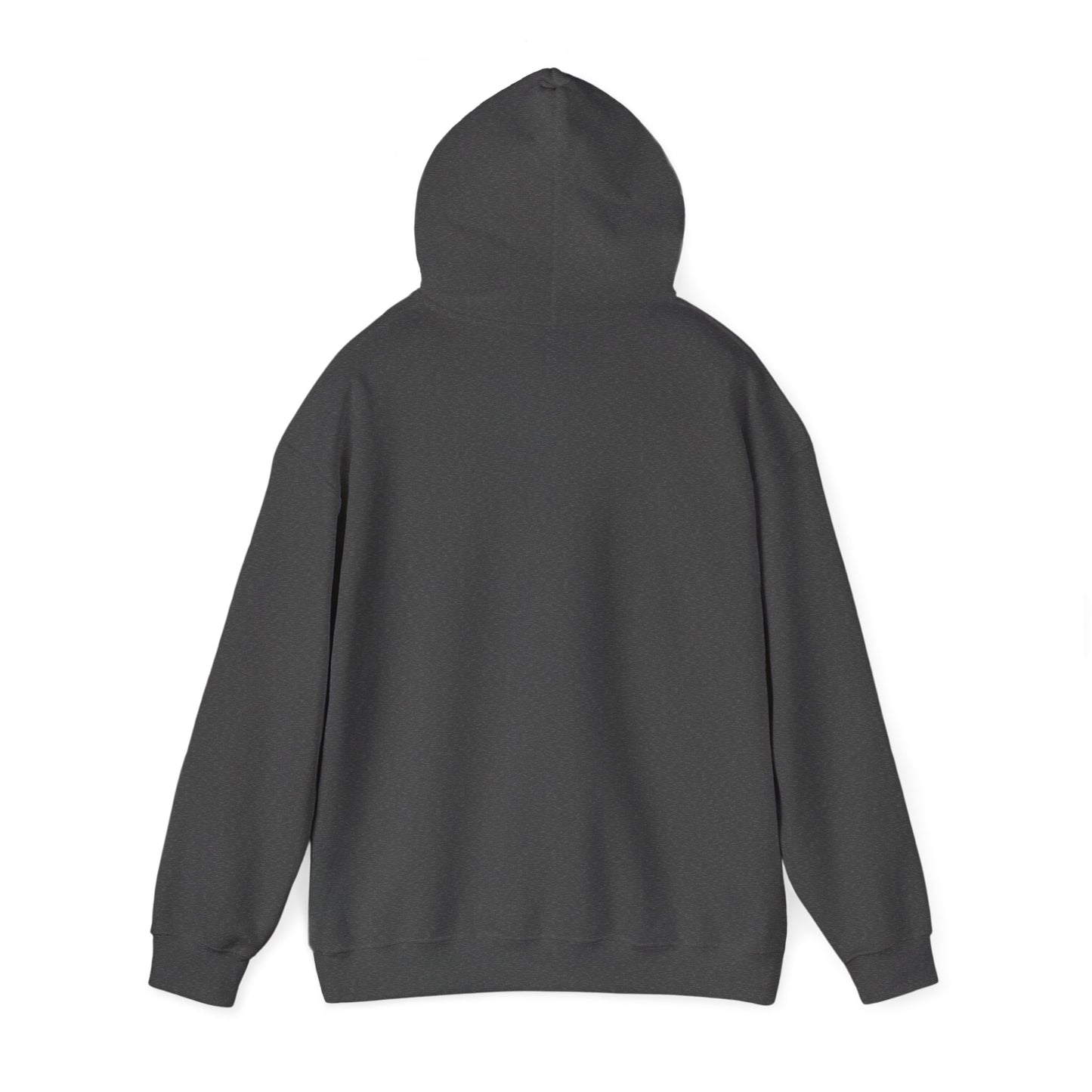 Air Blair Hooded Sweatshirt