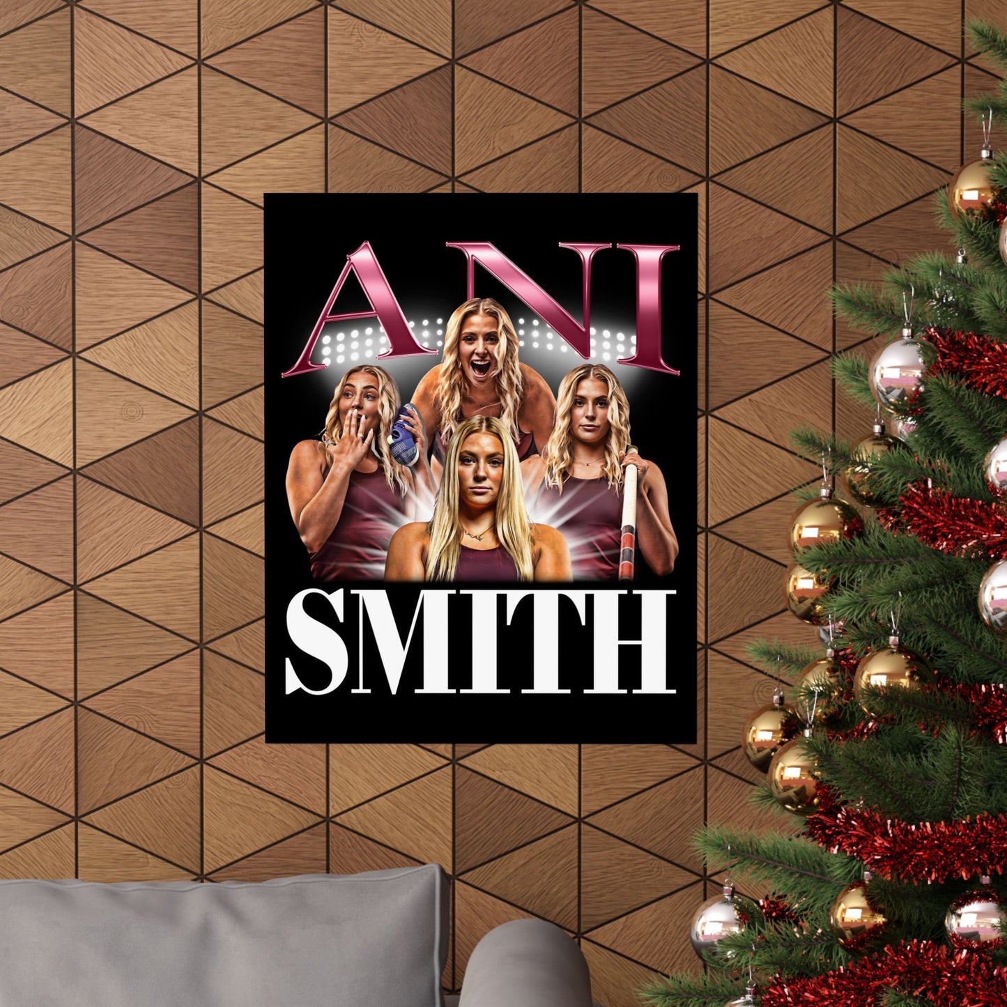 Ani Smith Poster