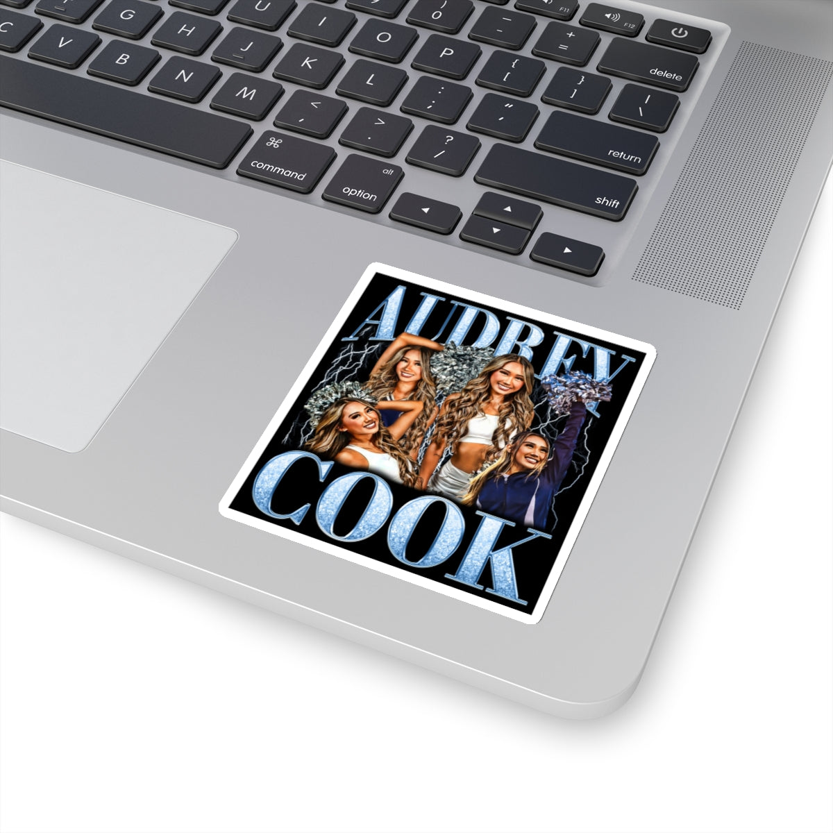 Audrey Cook Sticker