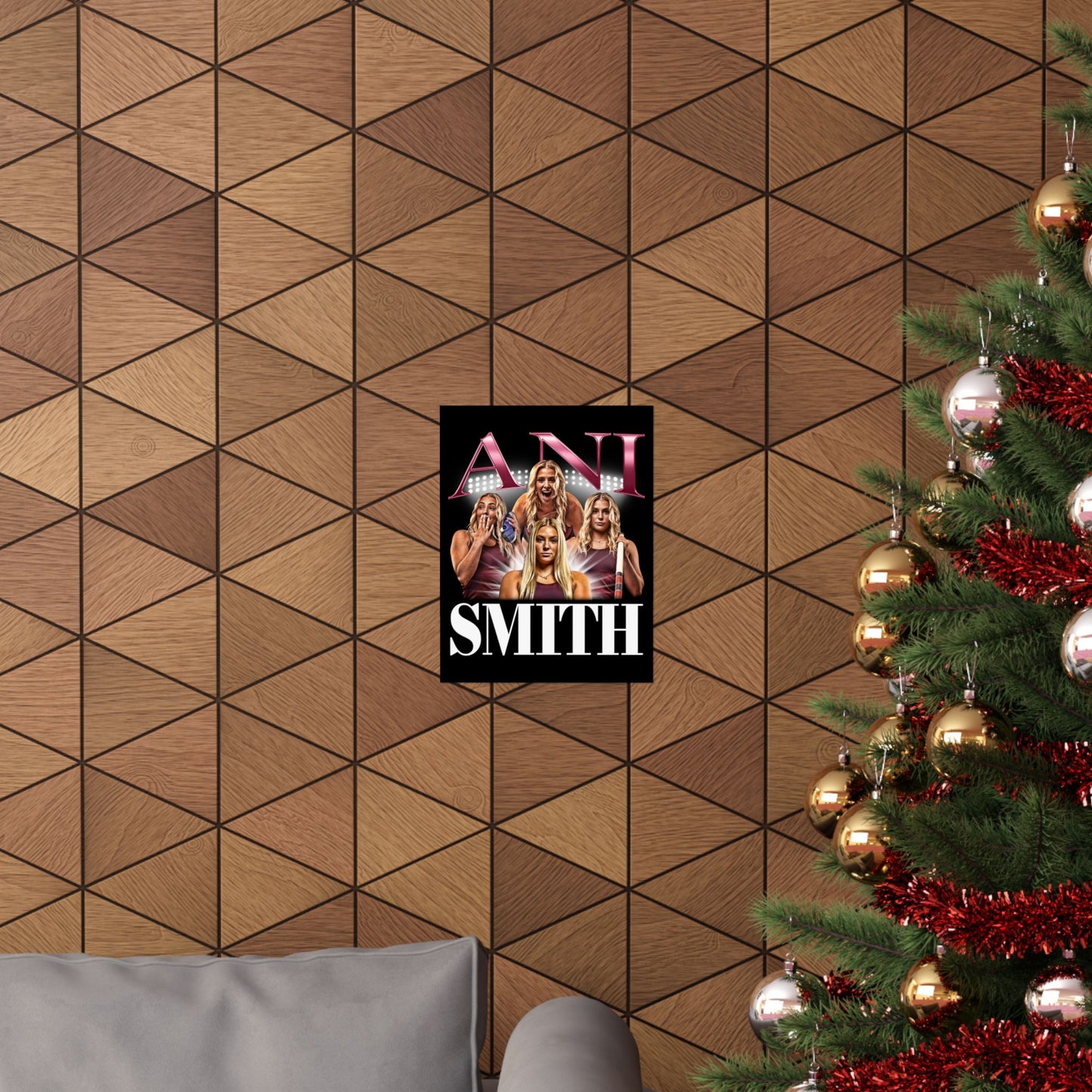 Ani Smith Poster