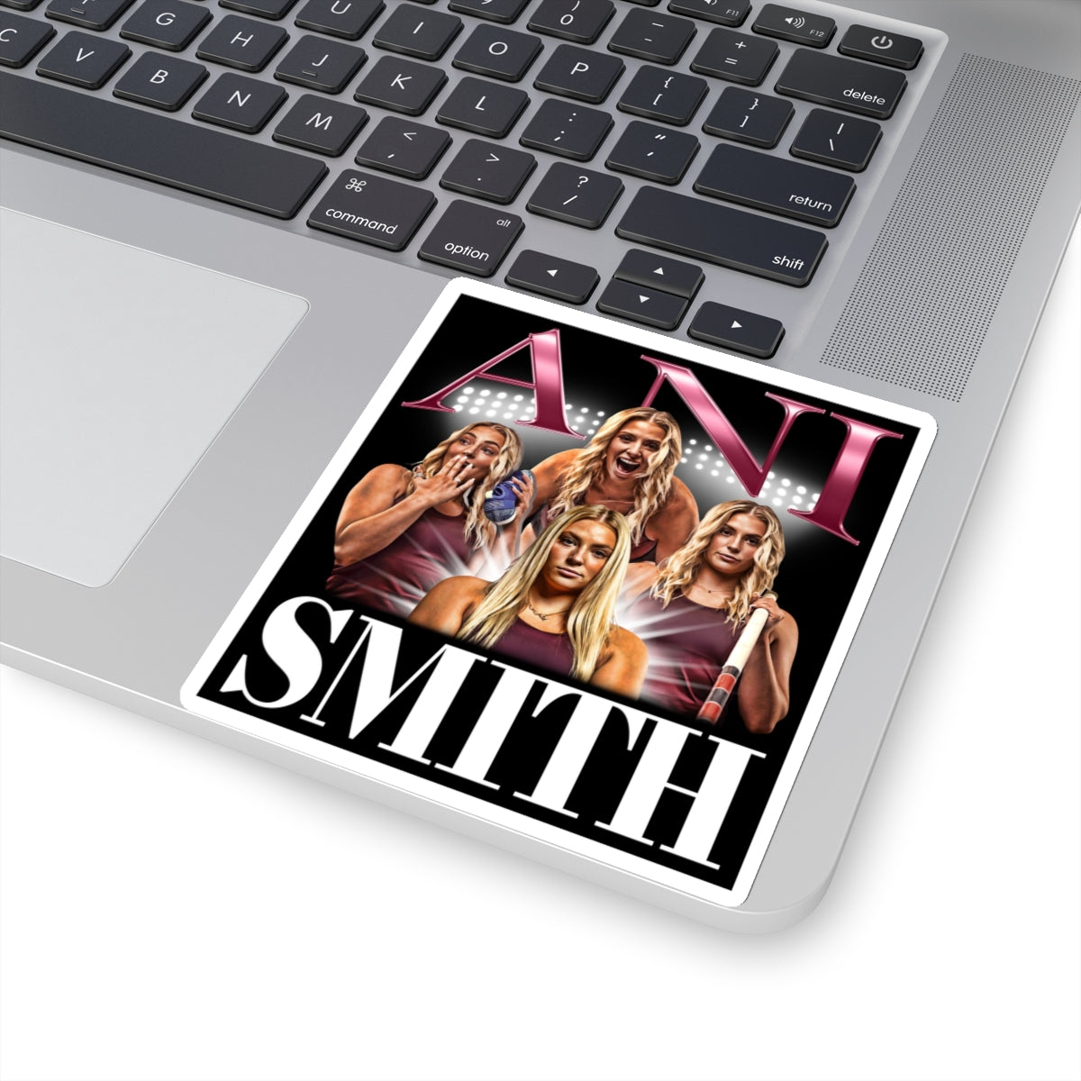 Ani Smith Sticker