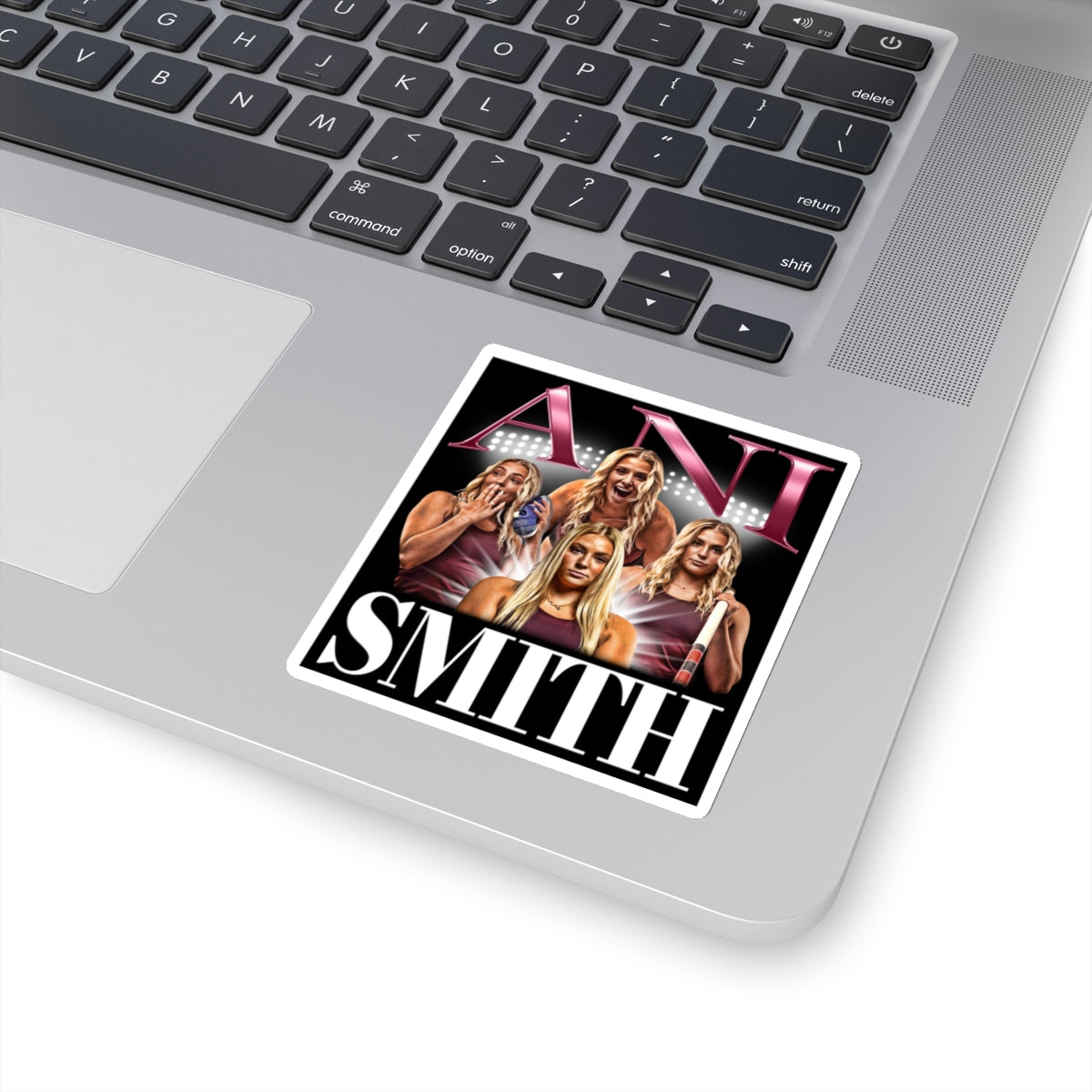 Ani Smith Sticker
