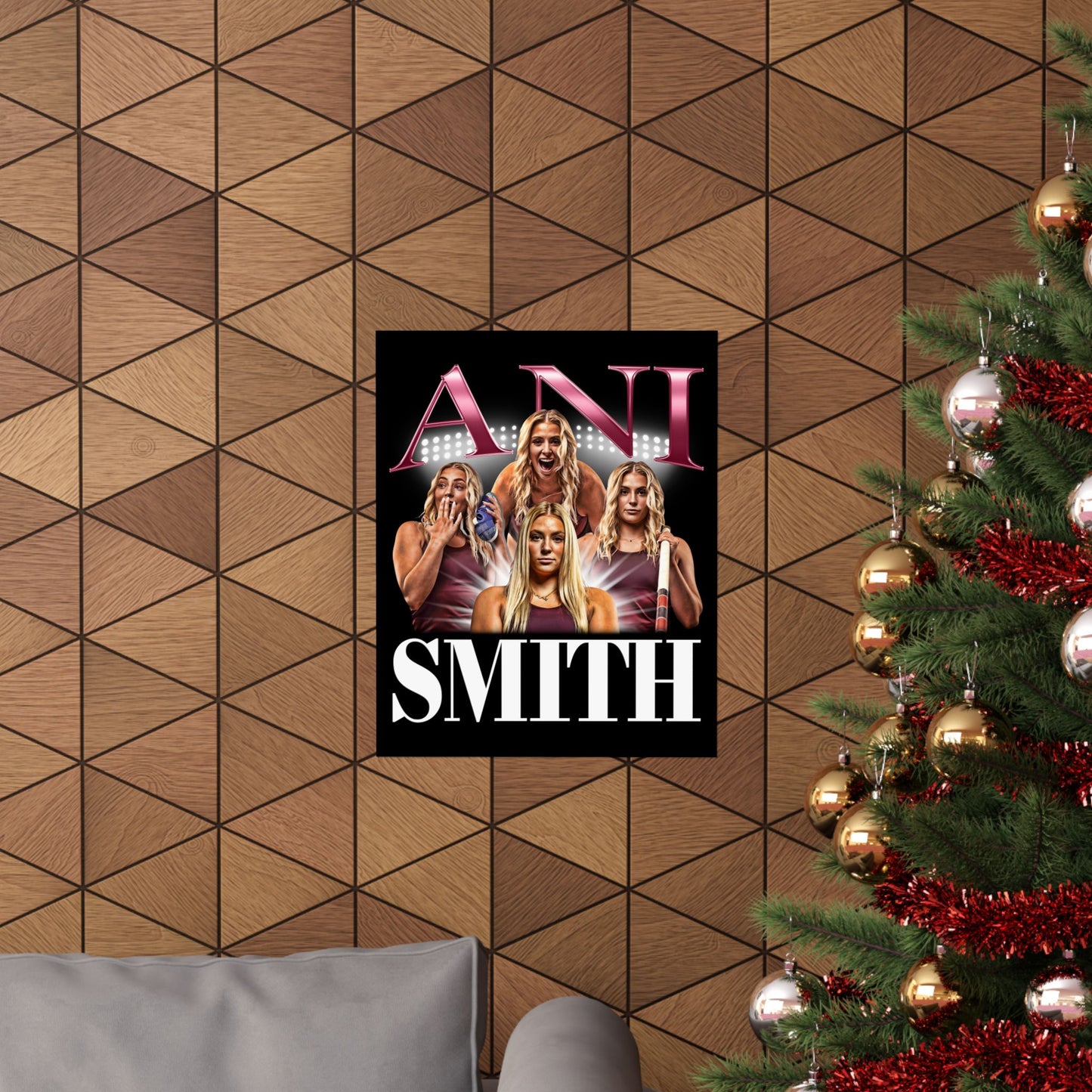 Ani Smith Poster