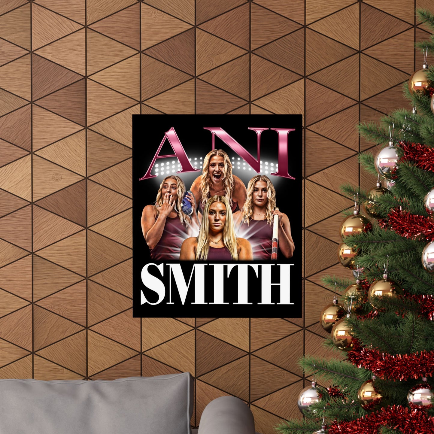 Ani Smith Poster