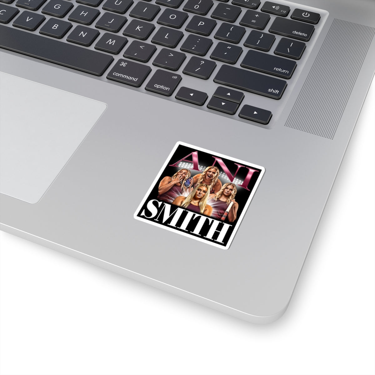 Ani Smith Sticker
