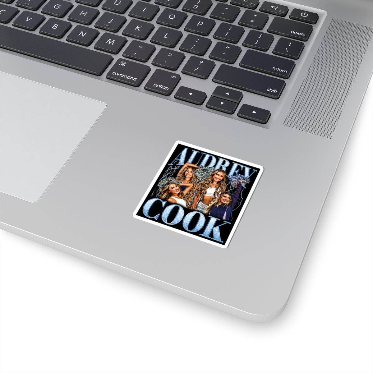 Audrey Cook Sticker