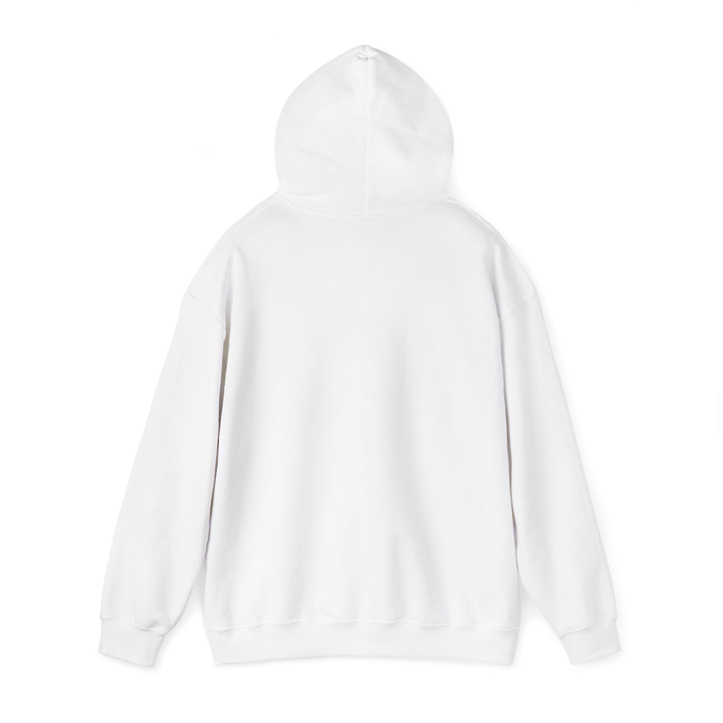 Air Blair Hooded Sweatshirt