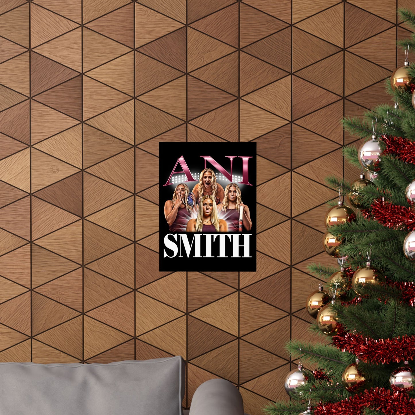 Ani Smith Poster