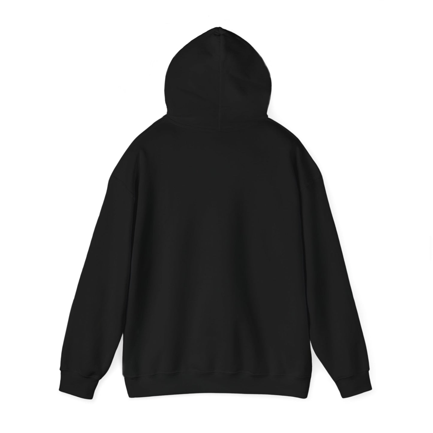 Raven Gray Hooded Sweatshirt