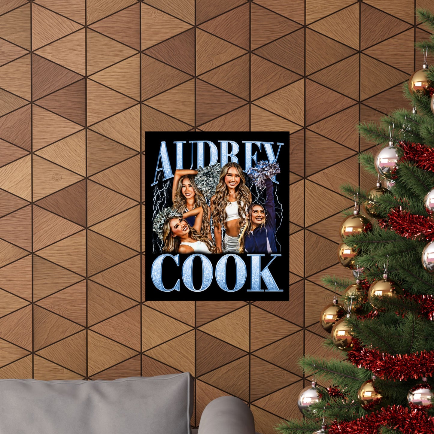 Audrey Cook Poster