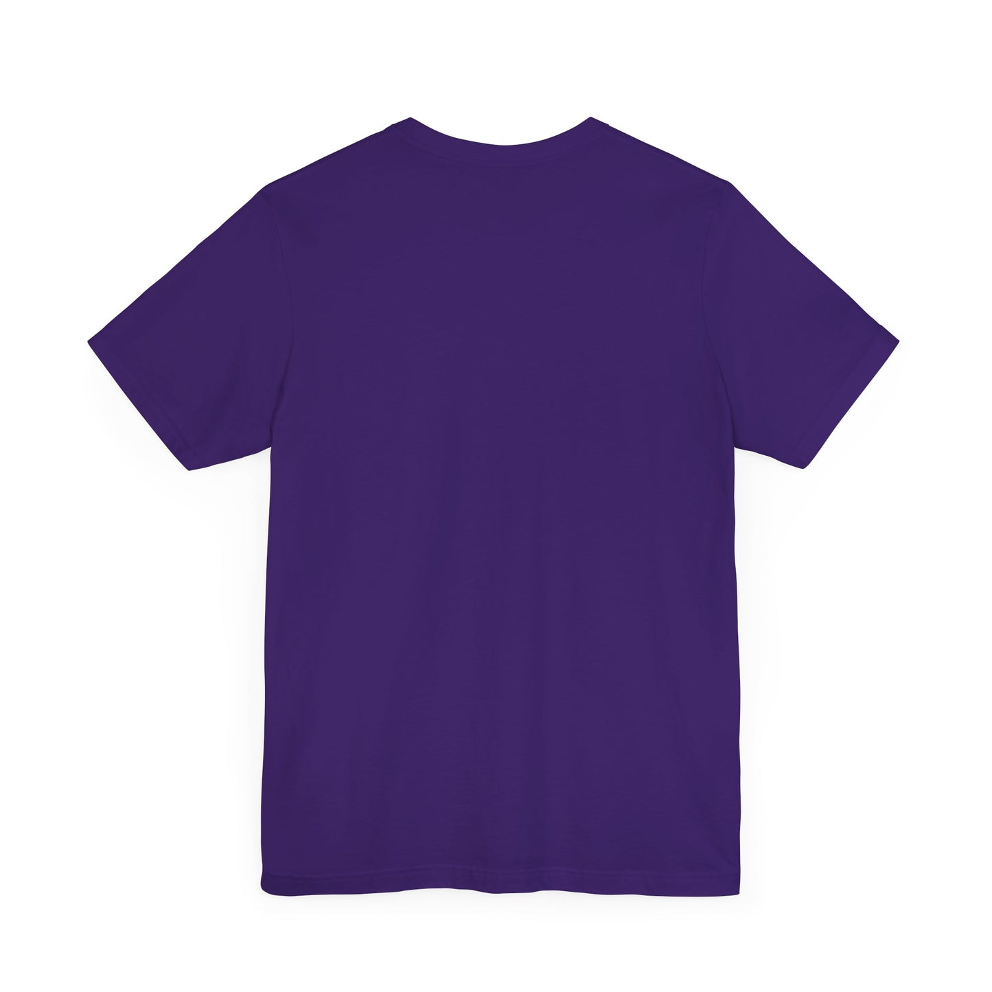 Raven Gray Short Sleeve T-Shirt